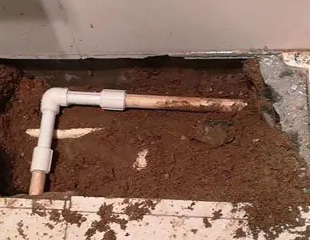 东山测漏水哪家好