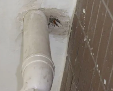 东山漏水检测哪家好